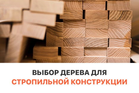 Выбор дерева для стропильной конструкции